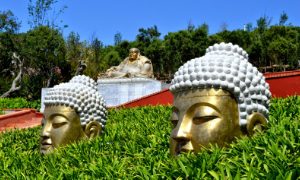 Budha Eden